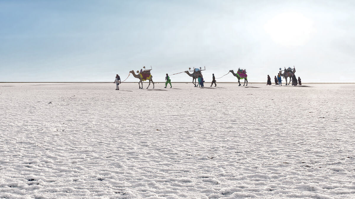 White Rann